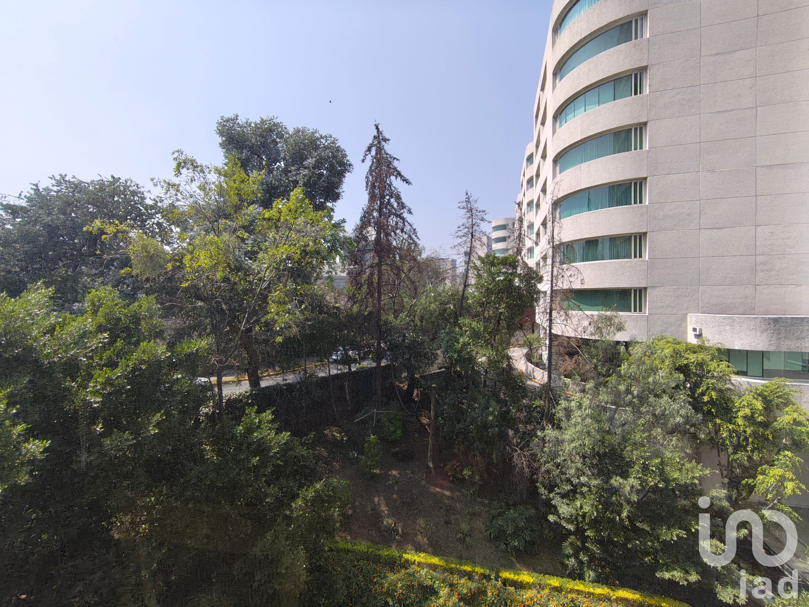 Fotos adicionales