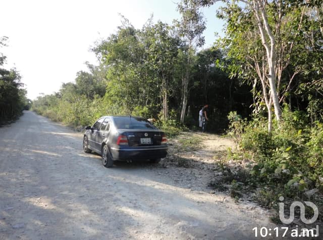 Paraiso en crecimiento 200 hectareas ideales para resort o eco-turismo