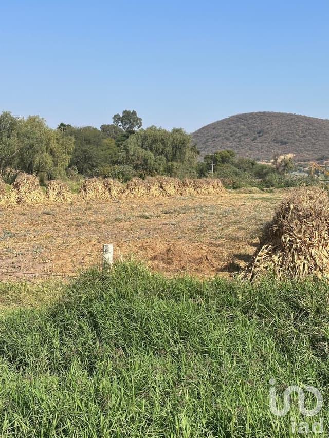 SE VENDE TERRENO EJIDAL EN EL CAMINO A SAN MIGUEL CUYUTLAN-SAN JUAN EVANGELISTA JALISCO