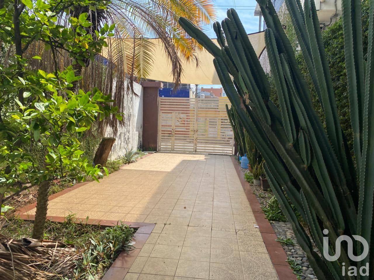 Fotos adicionales