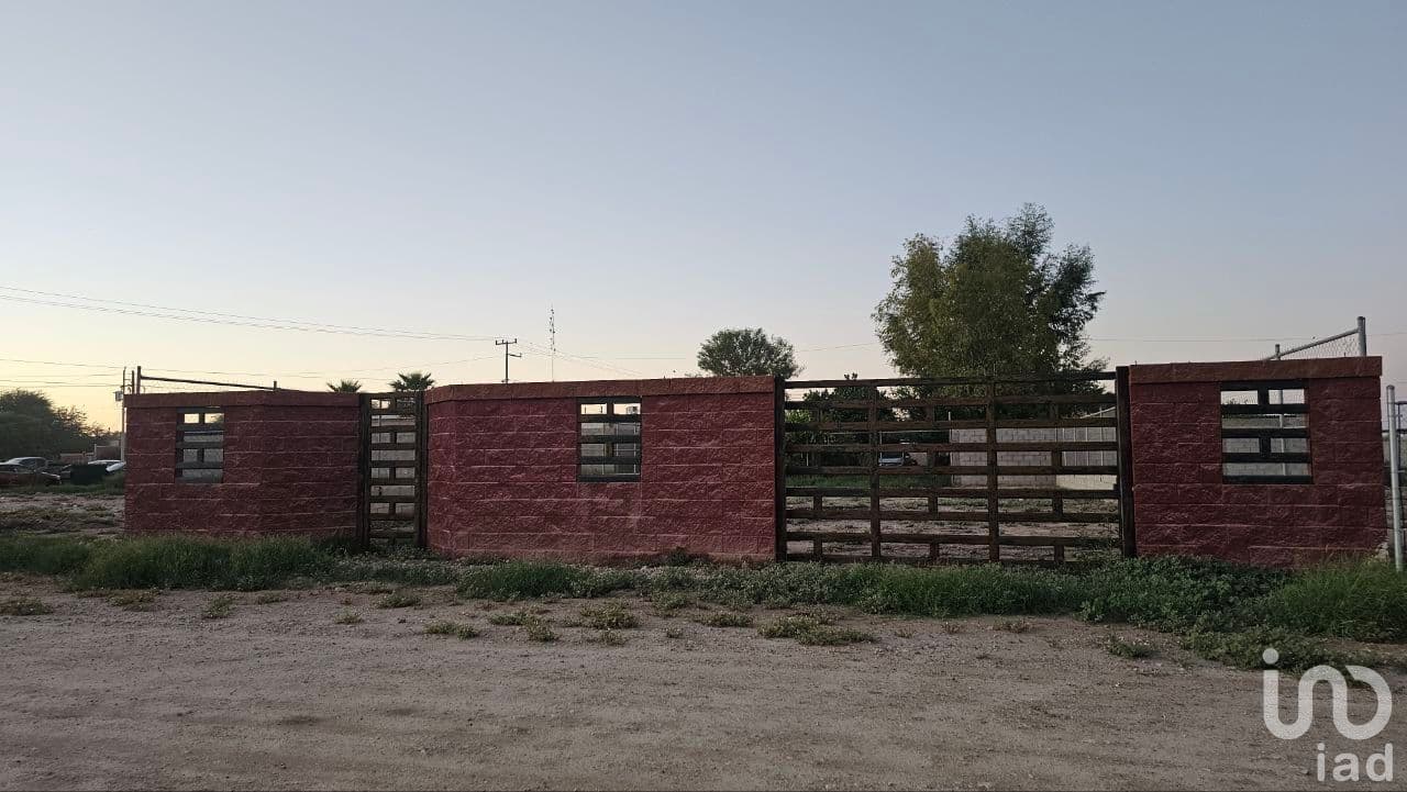 Fotos adicionales