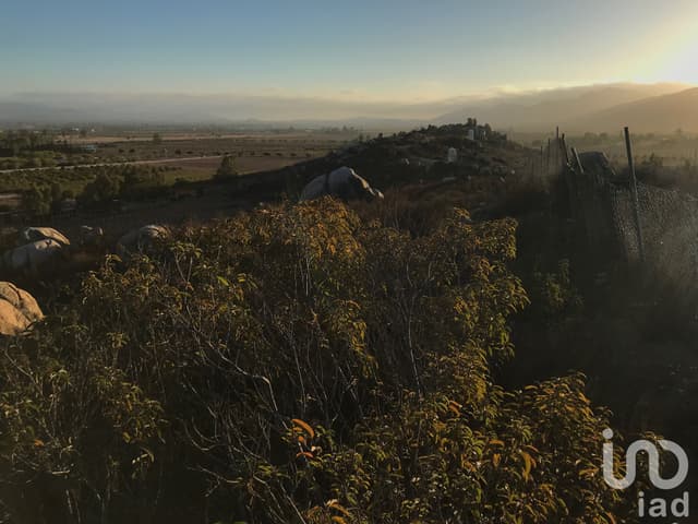 Terreno en Venta para proyecto vinícola en el Valle de Guadalupe, Baja California.