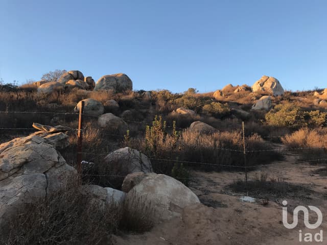 Terreno en Venta para proyecto vinícola en el Valle de Guadalupe, Baja California.