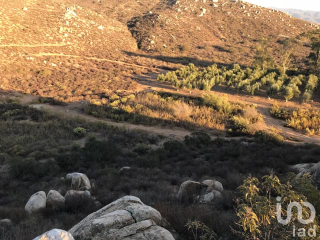 Terreno en Venta para proyecto vinícola en el Valle de Guadalupe, Baja California.