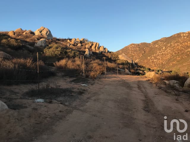 Terreno en Venta para proyecto vinícola en el Valle de Guadalupe, Baja California.