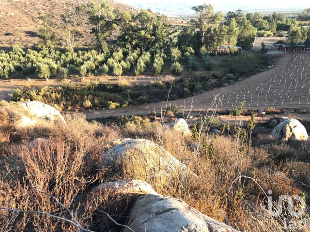 Terreno en Venta para proyecto vinícola en el Valle de Guadalupe, Baja California.