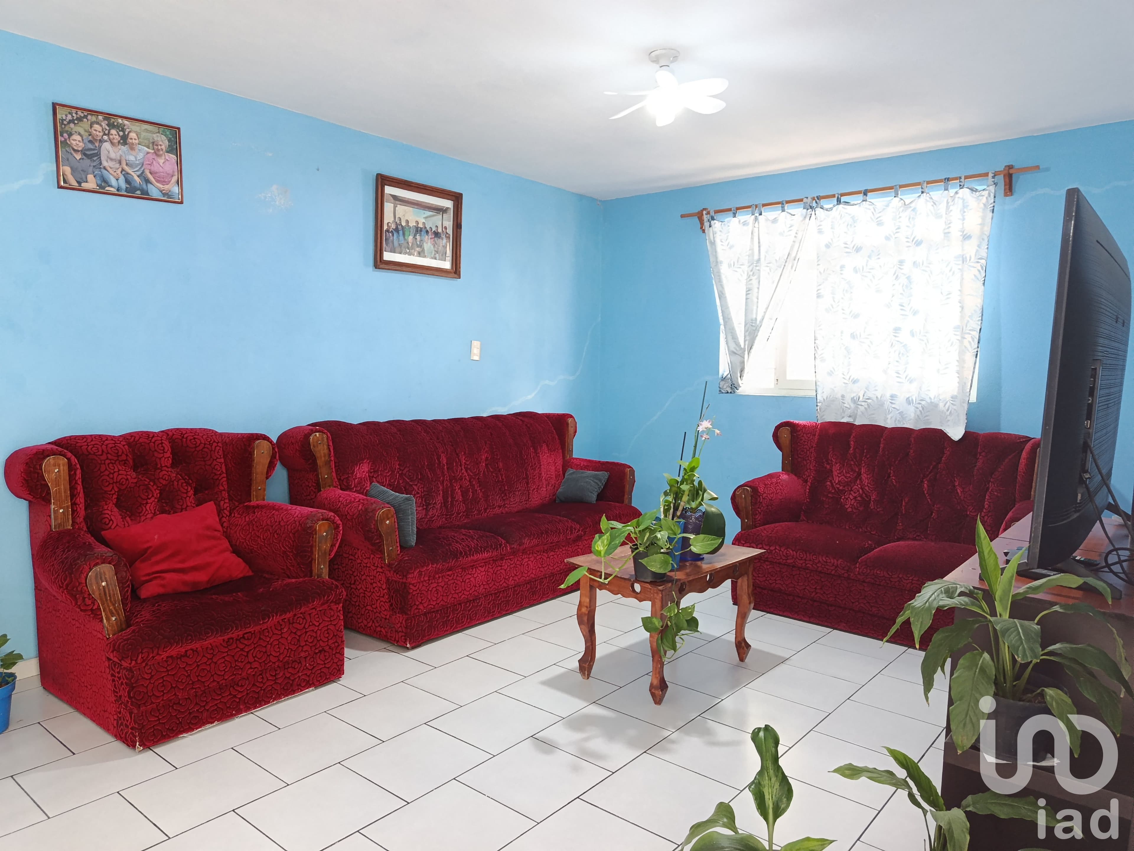 Fotos adicionales