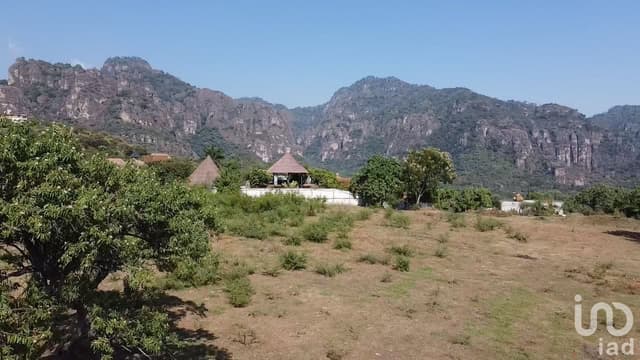TERRENO EN VENTA, TERRENO PALAPA, EN TEPOZTLÁN, MORELOS.
