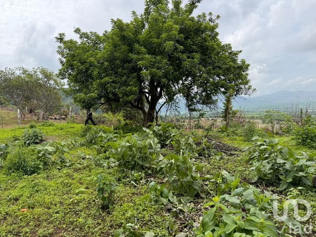 TERRENO EN VENTA, CARRETERA FEDERAL CUERNAVACA - TEPOZTLÁN