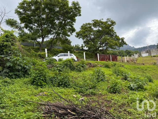 TERRENO EN VENTA, CARRETERA FEDERAL CUERNAVACA - TEPOZTLÁN