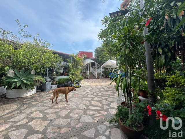 Casa en VENTA en Tepoztlán, Morelos. Con alberca y hermoso jardín con frutales.