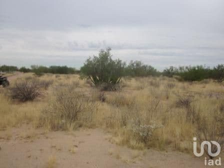 TERRENO CAMPESTRE REAL DEL CATORCE L 93