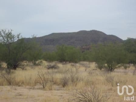 TERRENO CAMPESTRE REAL DEL CATORCE L94