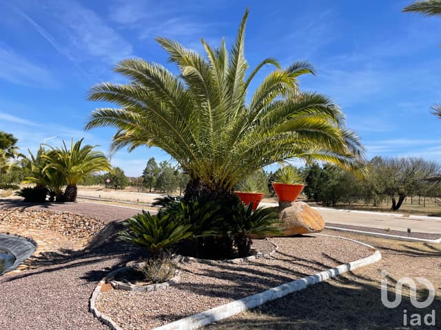 Venta 2 Terrenos en Las Villas Residencial: Juntos o Separados. Vive entre Árboles!!!