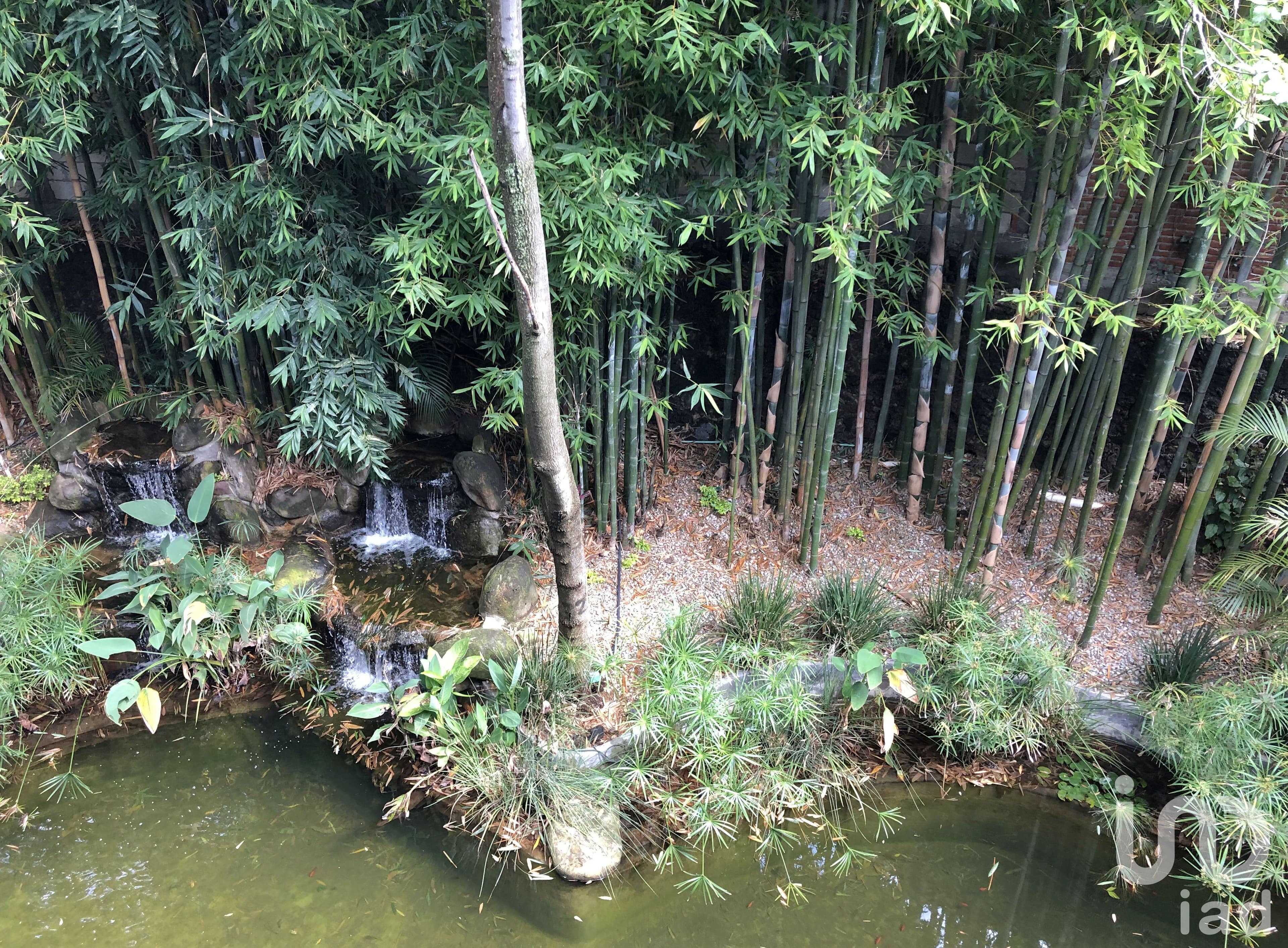 Fotos adicionales