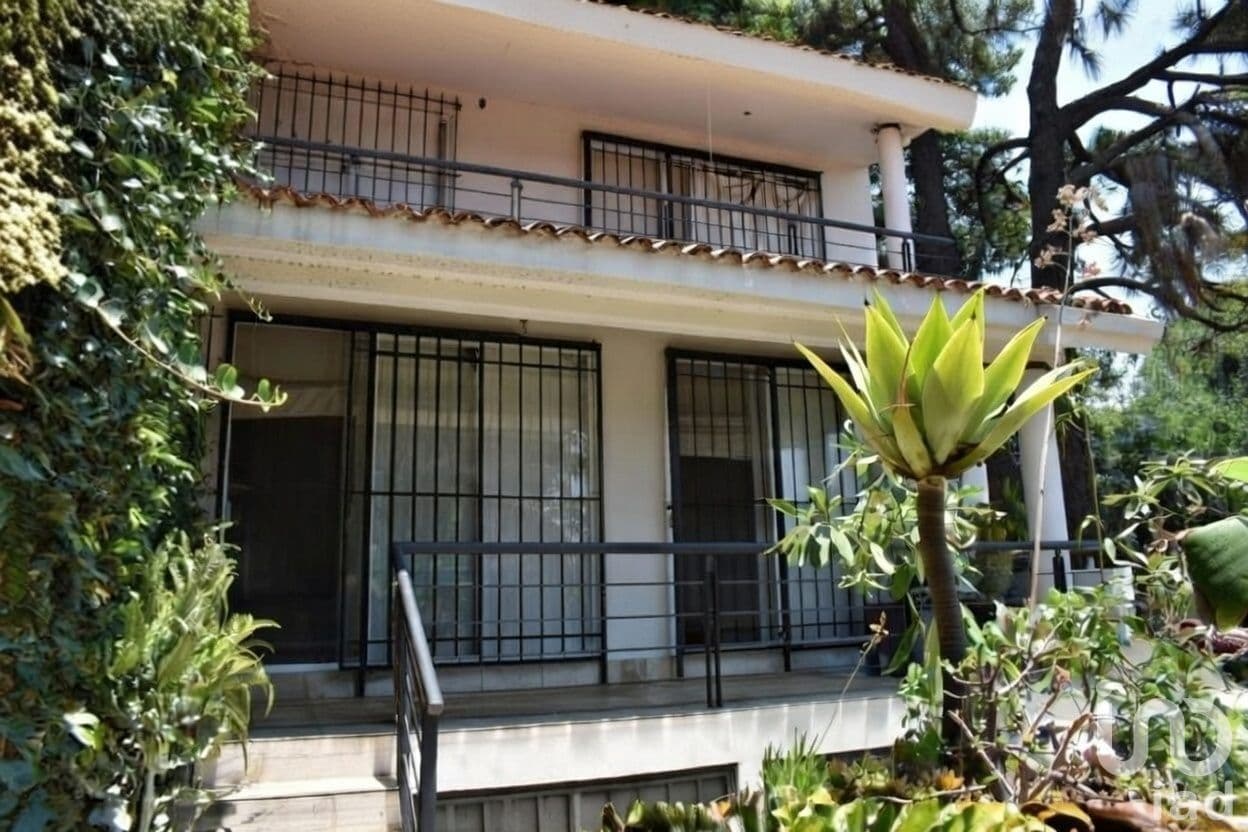 Fotos adicionales