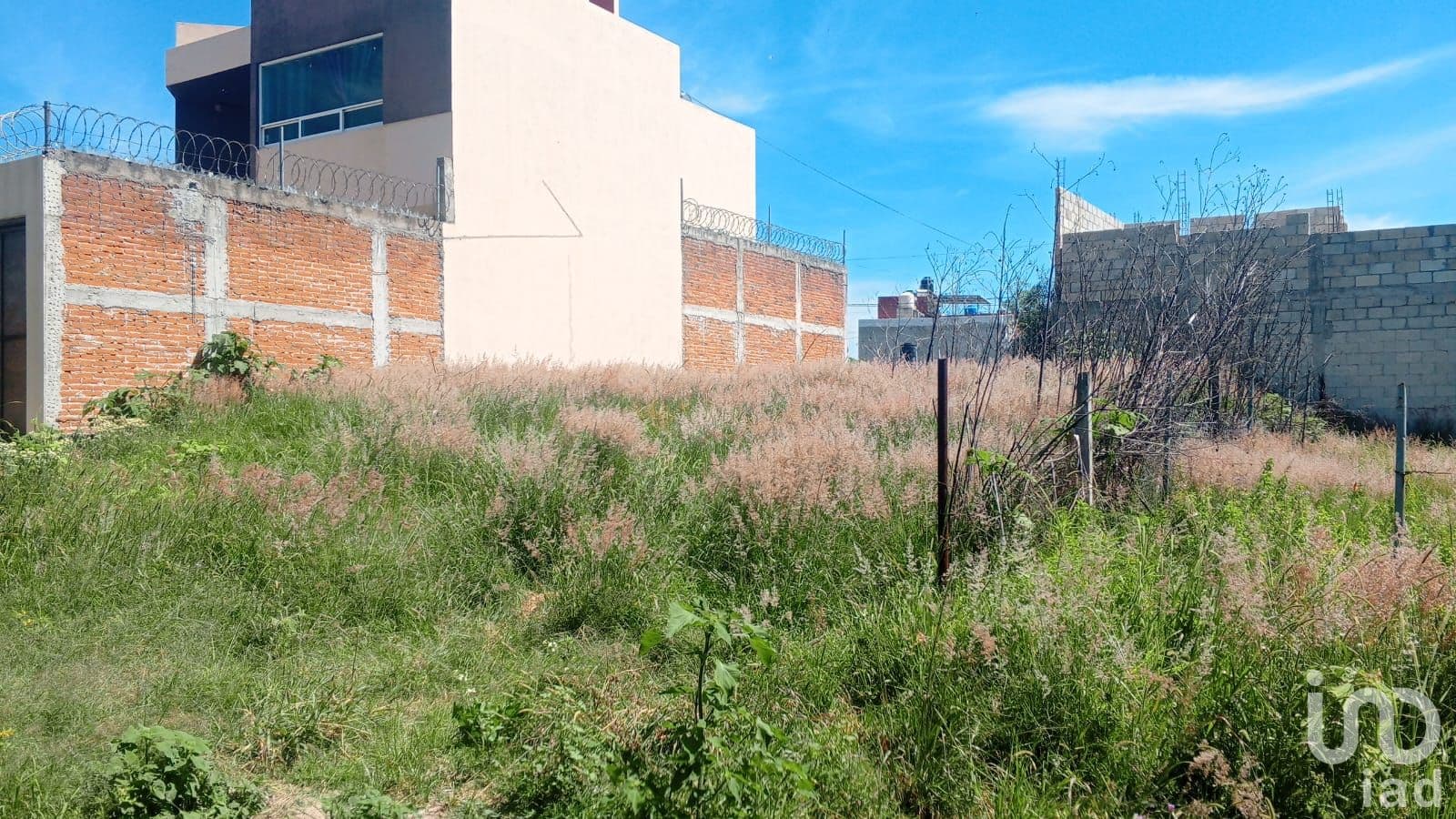 Fotos adicionales