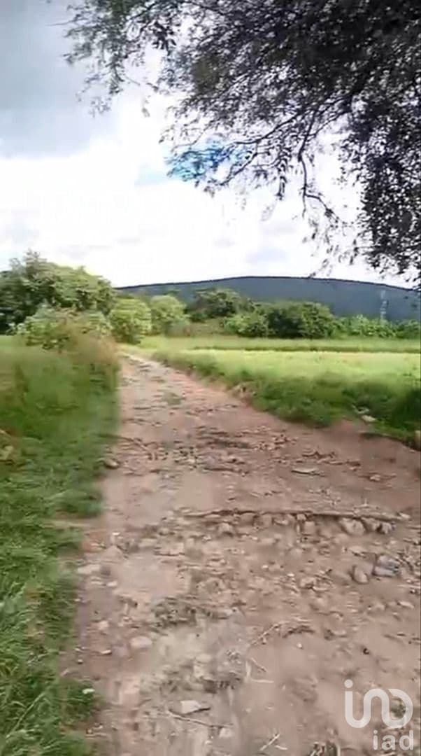 Se Vende Terreno en Juan Urbera, Atlixco, Puebla.