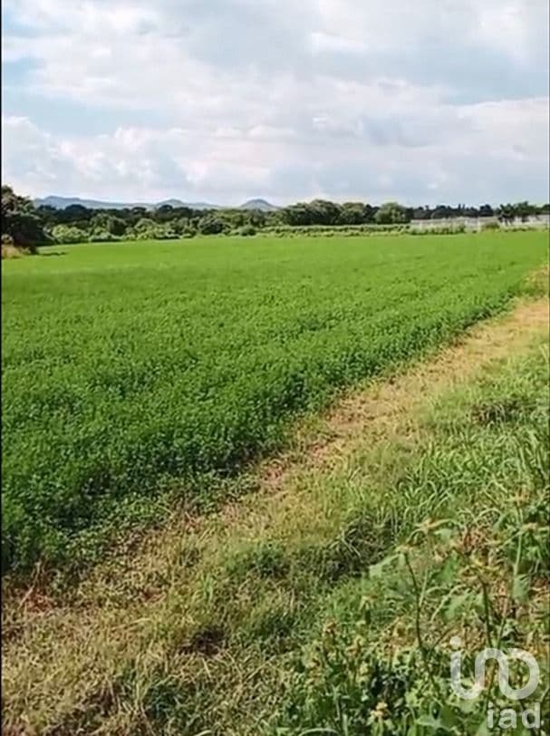 Se Vende Terreno en Juan Urbera, Atlixco, Puebla.