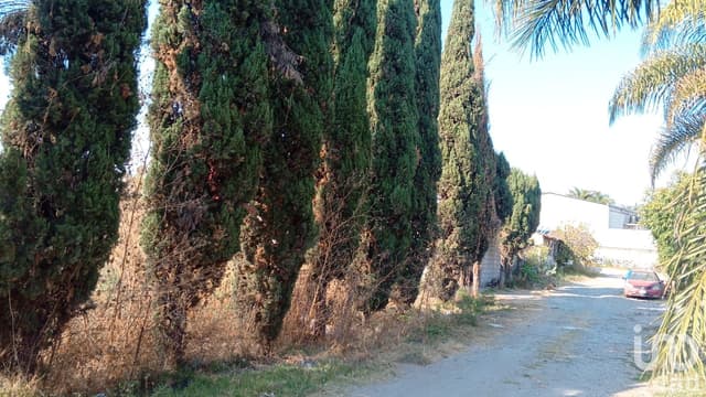 Terreno En Venta En San Antonio Cacalotepec En Buenavista