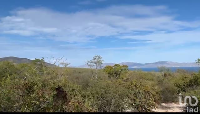 HECTAREAS EN VENTA CON VISTA AL MAR EN EL SARGENTO