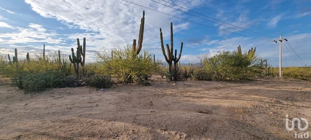 DOS HECTAREAS EN VENTA EN LA VENTANA A ORILLA DE CARRETERA