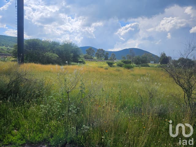 Terreno en Venta en San Vicente Ferrer a Pie de Carretera
