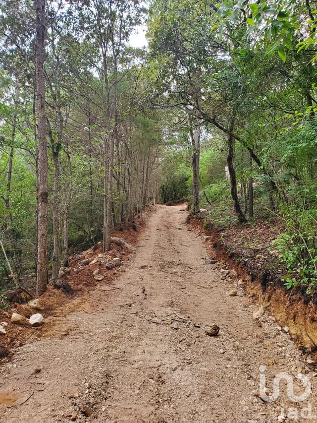 Terreno en Venta en Kaltic