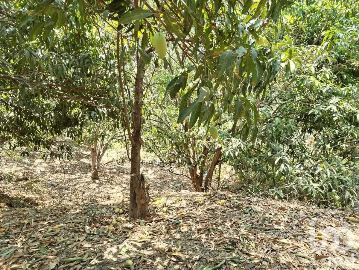 Fotos adicionales