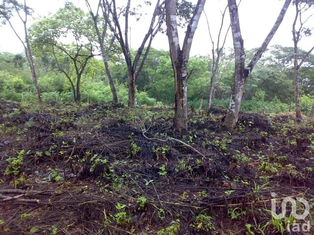 TERRENO EN VENTA DE 9,542 M2, EN LOMAS DE MATUMATZA, TUXTLA