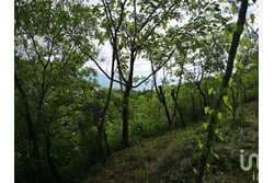 TERRENO EN VENTA DE 2,900 M2, EN LOMAS DE MATUMATZA, TUXTLA