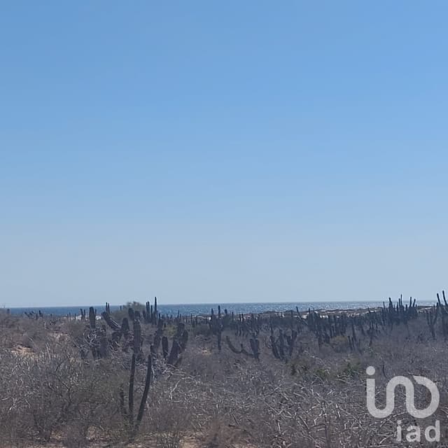 Terreno cerca del mar Agua blanca, Todos Santos