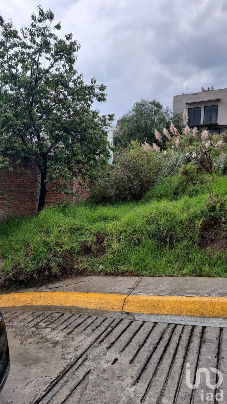 Fotos adicionales
