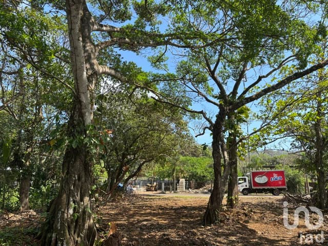 TERRENO, AV DALIAS L-7 M-22 LOCALIDAD MONTEPIO, MPIO. SAN ANDRES TUXTLA, VER.