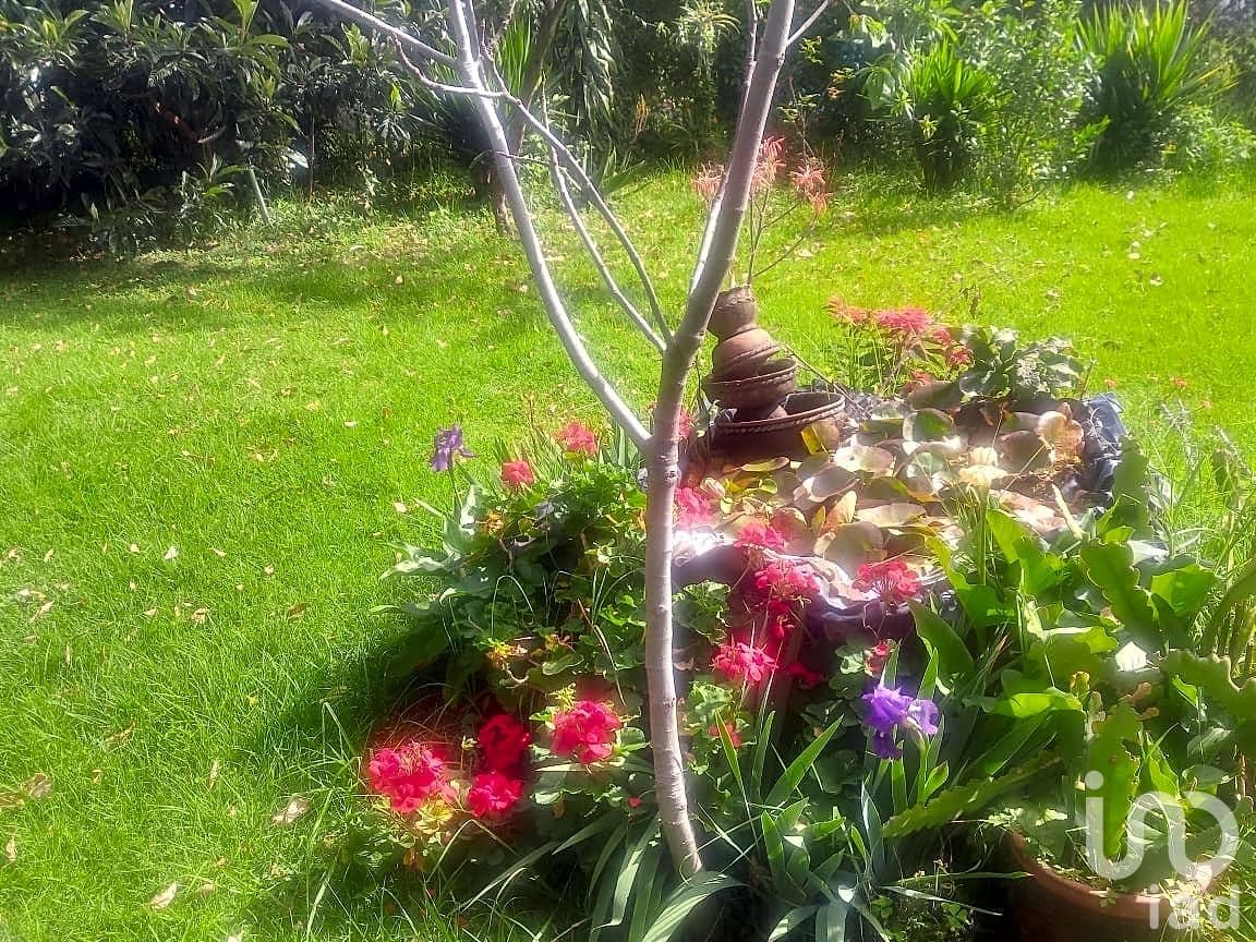 Fotos adicionales