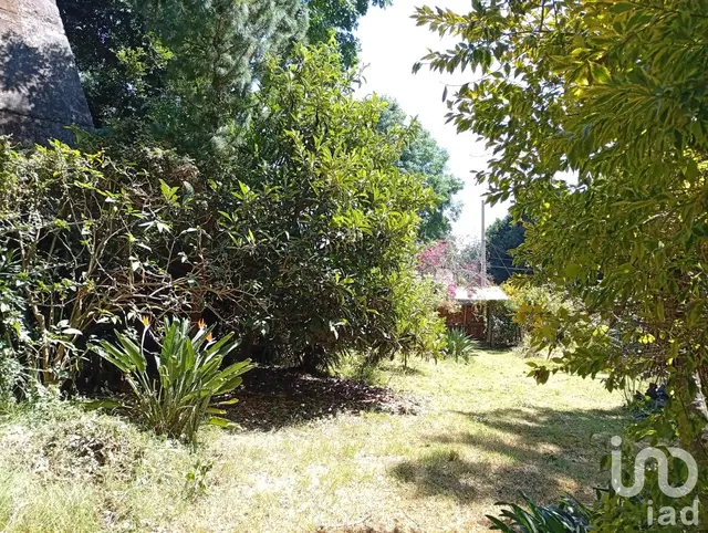 VILLA SUIZA CON 650 M2 DE JARDIN CON FRESNOS, PINOS, CEIBAS, FLORES EXÓTICAS, NORTE DE CUERNAVACA