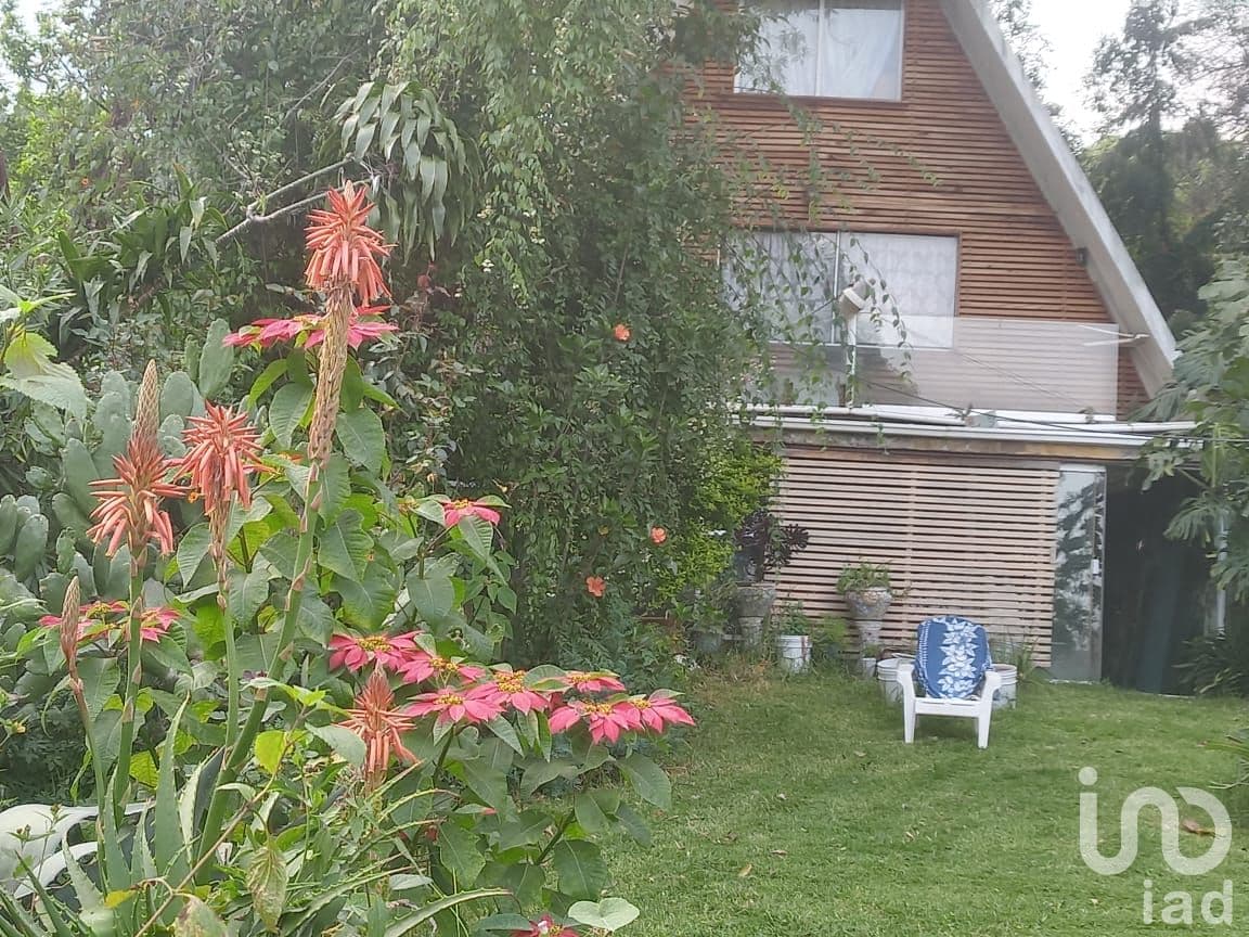 Fotos adicionales