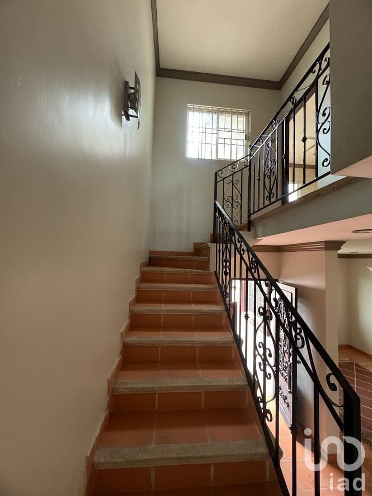 Fotos adicionales