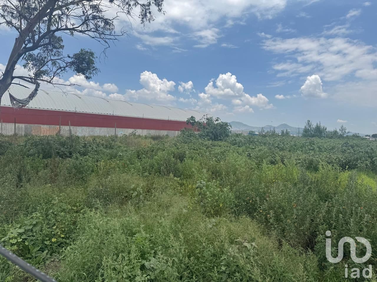 Fotos adicionales