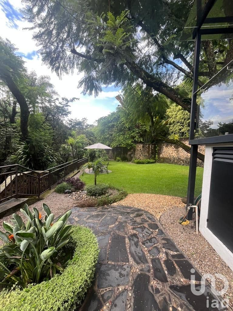 Fotos adicionales