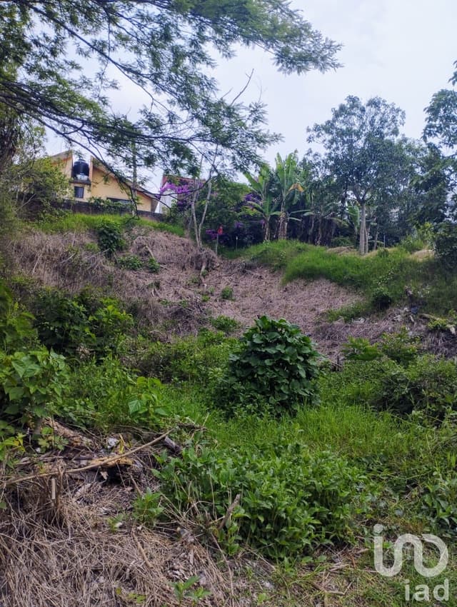 Terreno en venta ,Fraccionamiento Lomas del Tejar, Municipio de Xalapa
