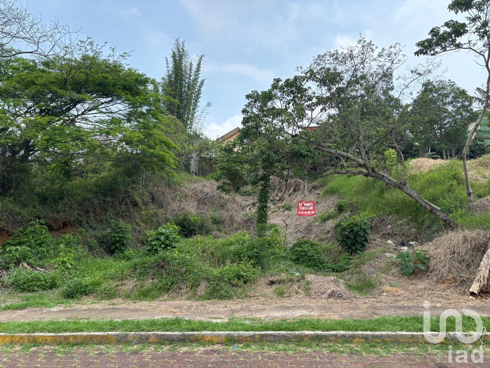 Fotos adicionales