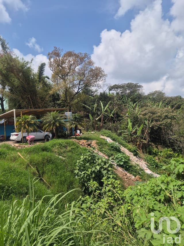 Terreno en Venta ,Paso Ladrillo, Mpio. Emiliano Zapata.Ver.