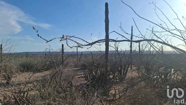 VENTA TERRENO DESARROLLO HABITACIONAL EN LA COL. BONFIL EN LA PAZ BCS CERCA DEL MAR