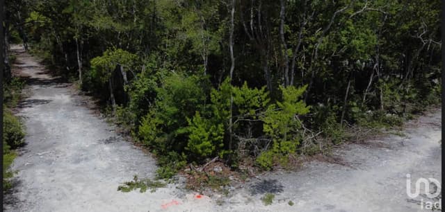 Terreno Lote 001 Región 15 Tulum