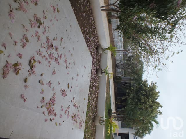 Venta Casa Nueva "NORTE DE MERIDA-YUCATÁN"