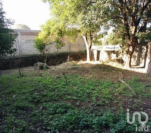 Fotos adicionales