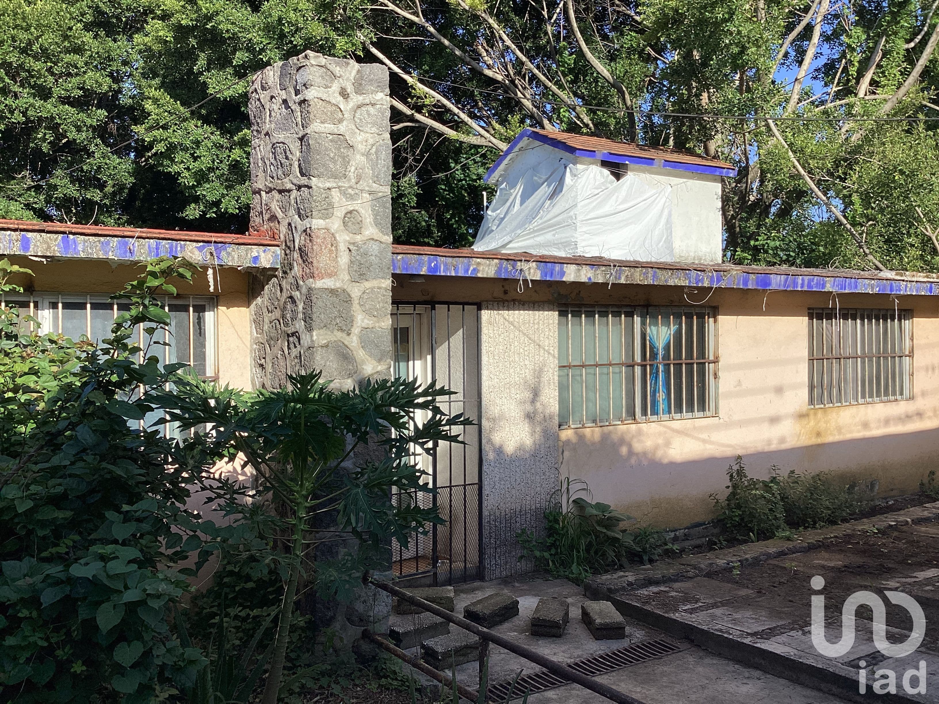 Fotos adicionales