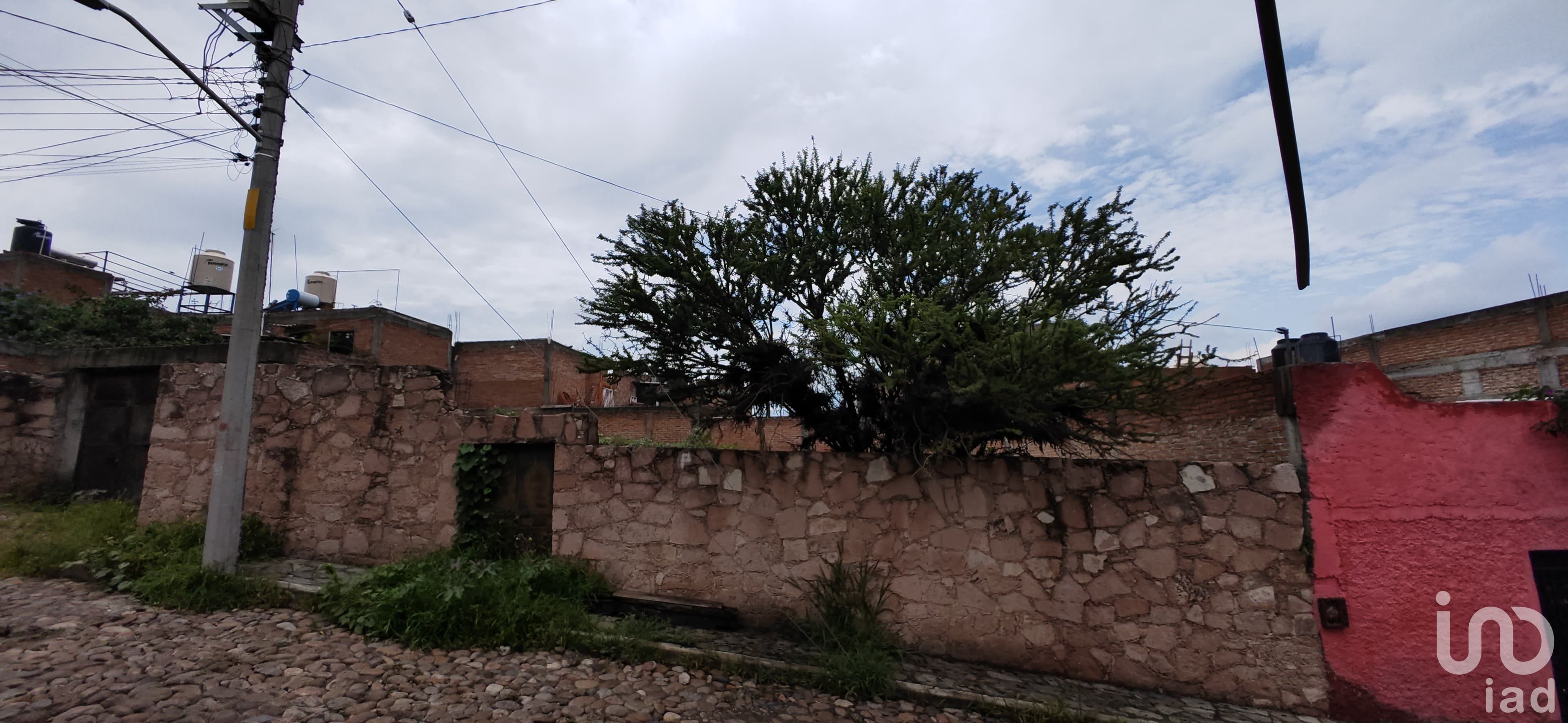 Fotos adicionales
