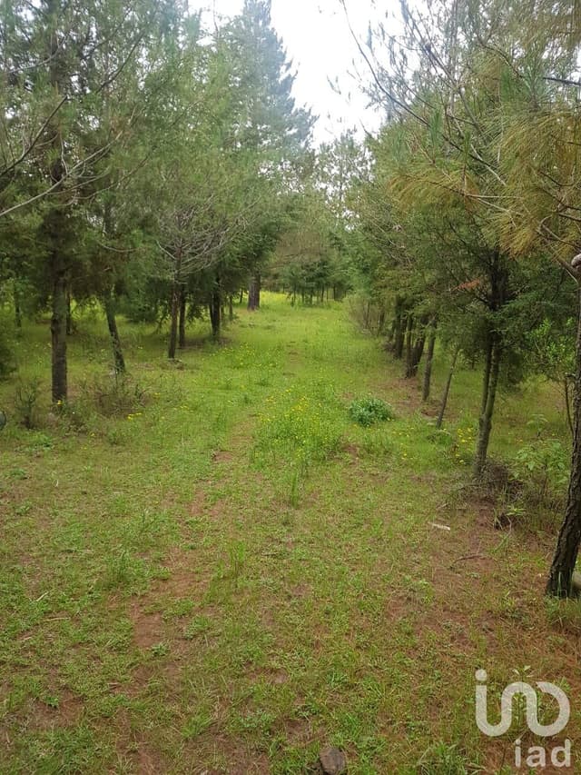 TERRENO EN CANALEJAS